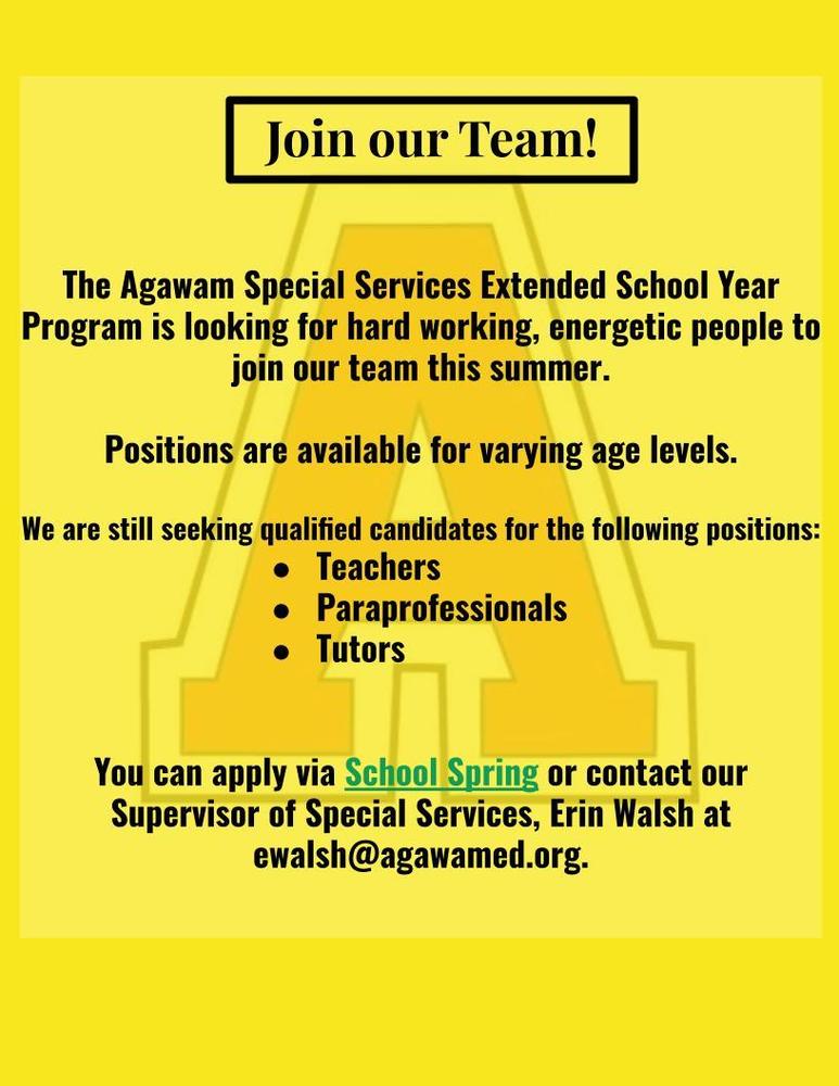 Flyer for Summer positions