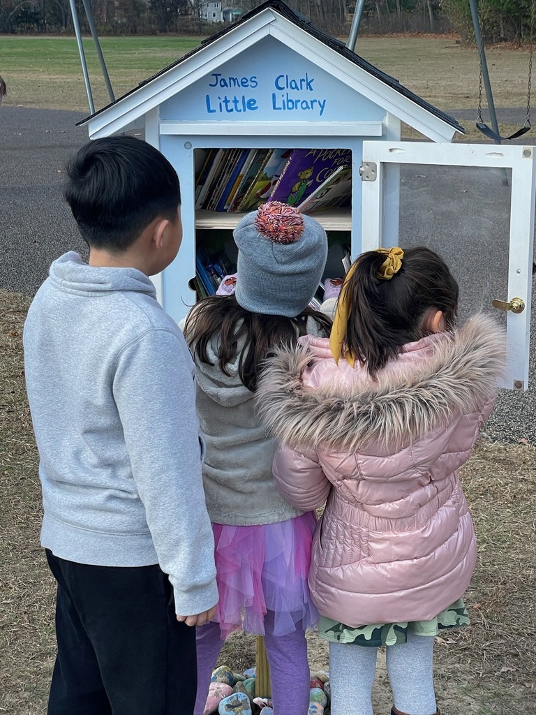 Students choosing books from the recess library