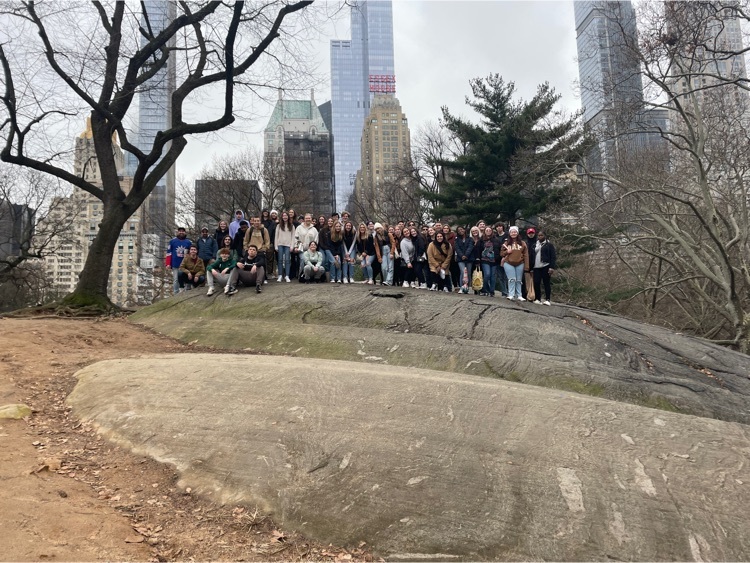 entire group in Central Park with skyline behind 